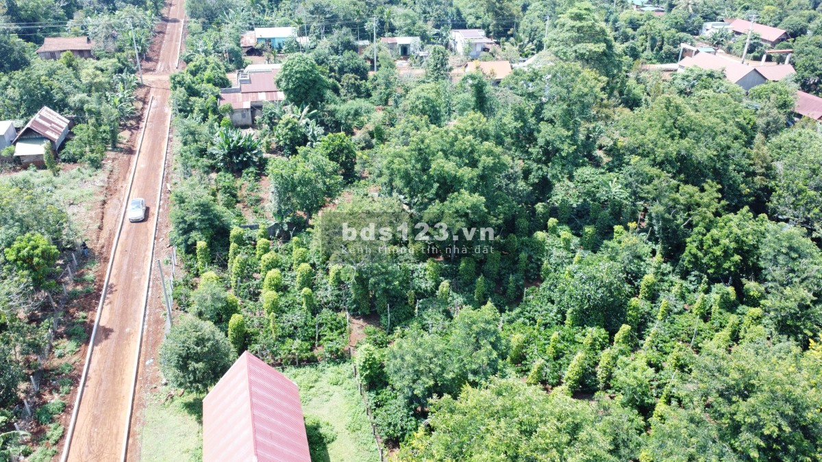 Bán gấp lô đất thổ cư gần sân bay, diện tích 200m2 giá sở hữu 240tr