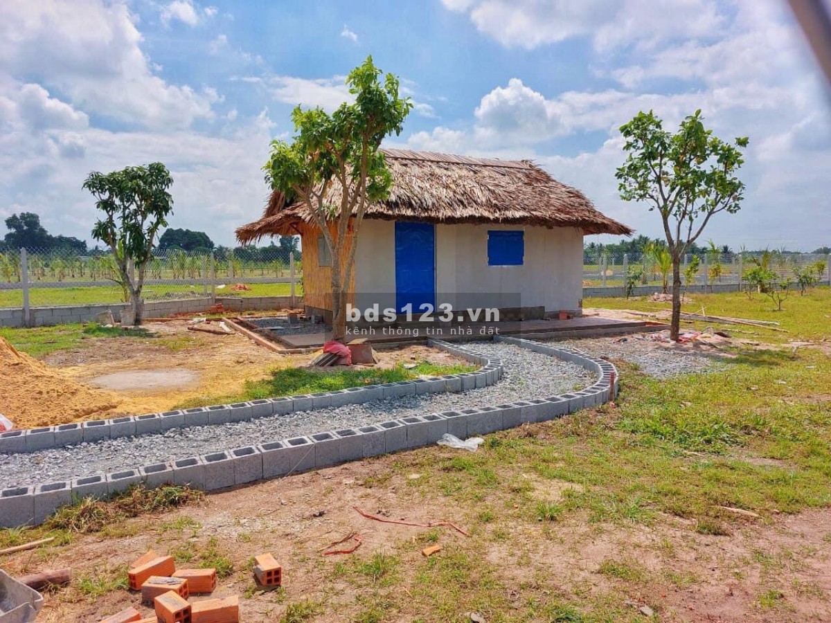 Chủ bán gấp đất vườn 1000m2 Tỉnh Lộ 7 Trung Lập Hạ Củ Chi HCM giá ngộp