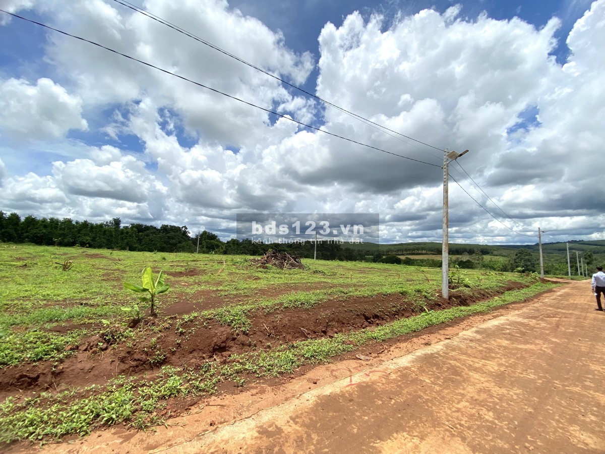 Chính chủ bán đất sổ hồng 300m2 tại Bù Đăng thổ cư, pháp lý chính chủ