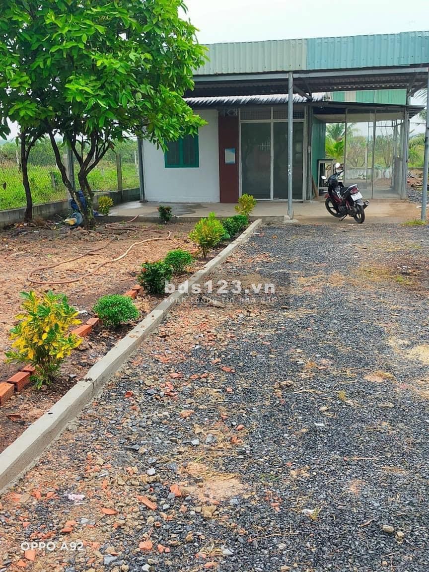 Mua đất tặng nhà vườn DT 736m2 Nguyễn Thị Rành Nhuận Đức Củ Chi TP HCM giá rẻ