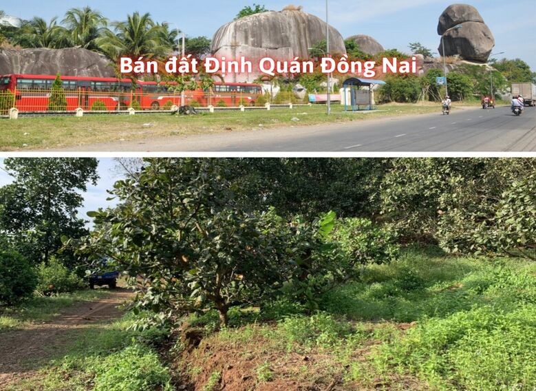 ban-dat-dinh-quan-dong-nai-gia-re-phap-ly-sach_1660030562.jpg Bán đất Định Quán Đồng Nai giá rẻ, pháp lý sạch