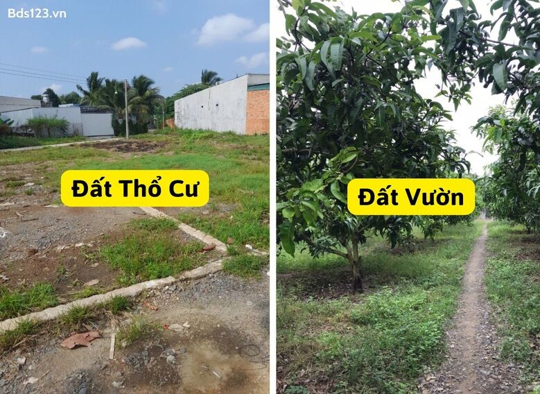 mua-ban-dat-vuon-dat-tho-cu-dinh-quan-gia-tot-nhieu-uu-dai-tai-bds123vn_1660030563.jpg Mua bán đất vườn, đất thổ cư Định Quán giá tốt, nhiều ưu đãi tại Bds123.vn