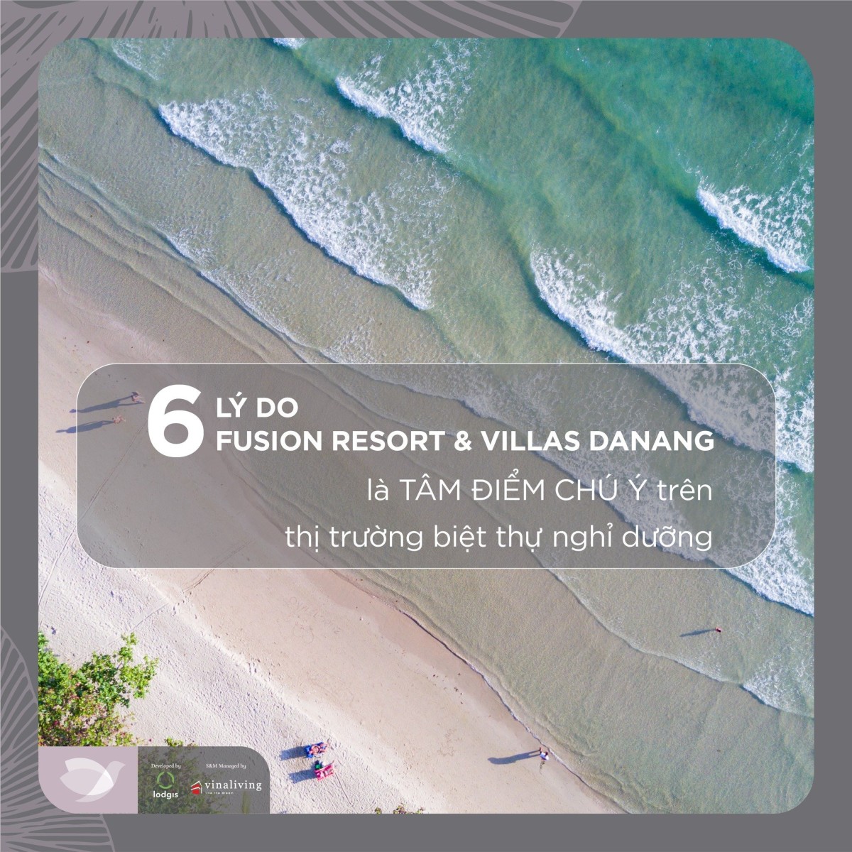 Mở bán biệt thự biển Fusion Villa Đà Nẵng chỉ từ 30 triệu/m2 đầu tư sinh lời