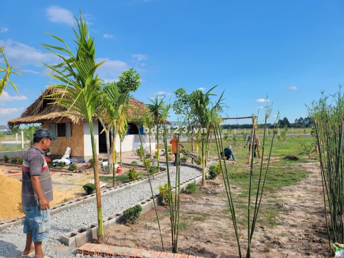Chủ Kẹt Tiền Bán 2 Mảnh Đất Nhà Vườn Củ Chi diện tích 1000m2 giá rẻ