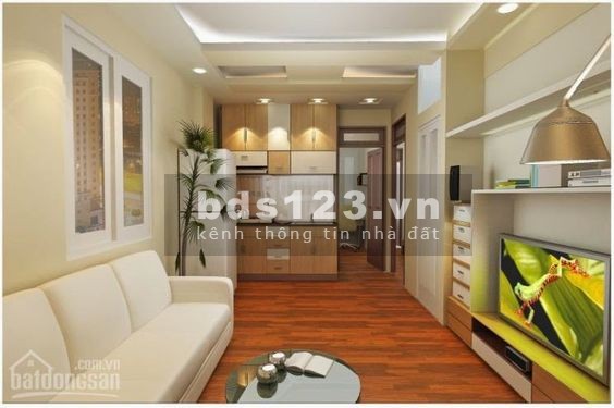 Bán chung cư Lê Duẩn - Trần Quý Cáp (25-52m2) sổ hồng vĩnh viễn, ở ngay, giá rẻ
