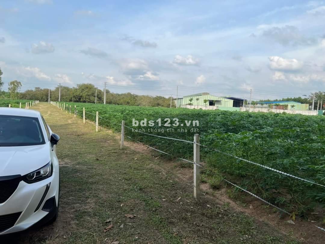 Nhà kẹt tiền cần bán gấp lô đất với giá rẽ tiện ích đủ, điện nước chính