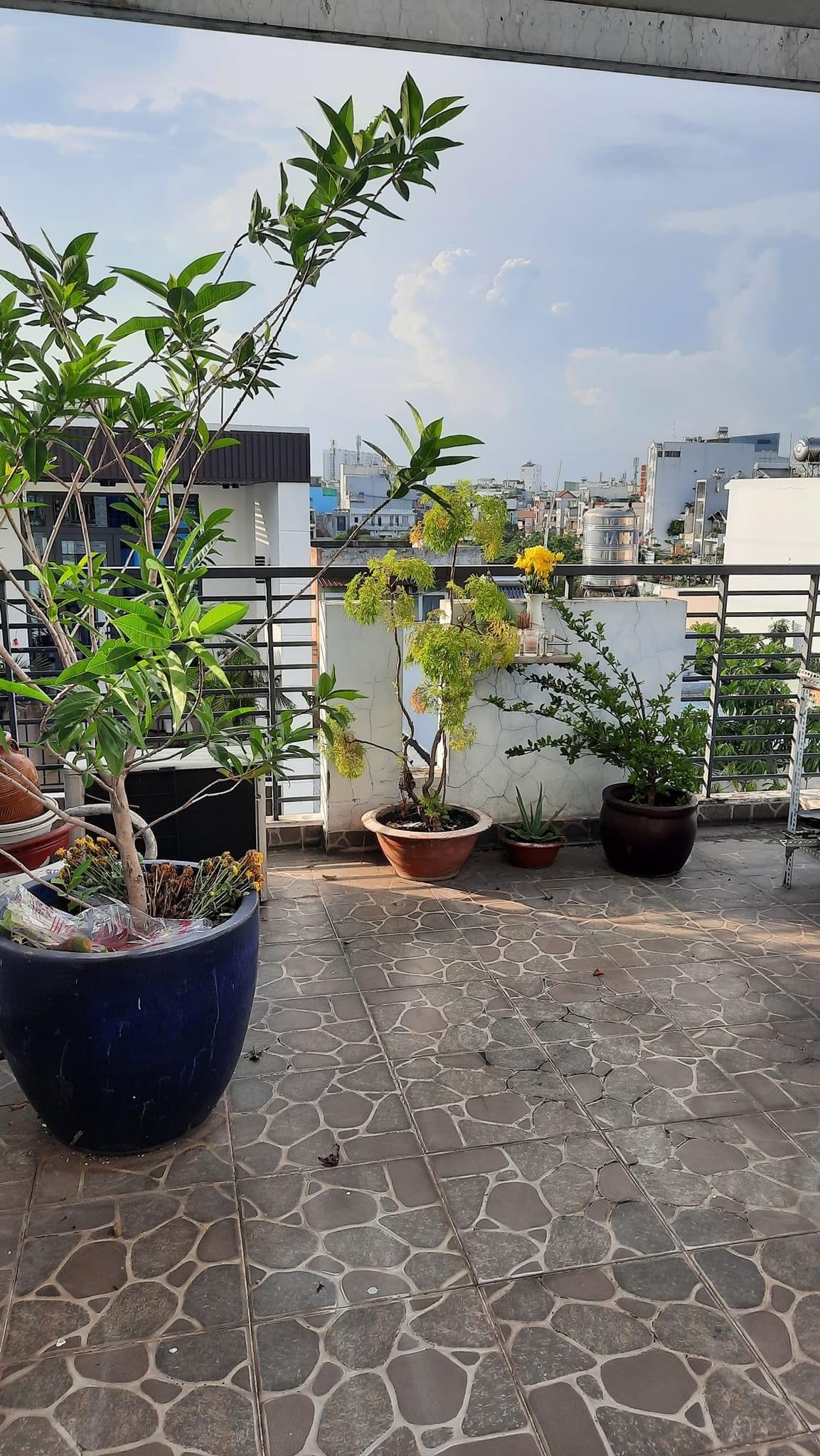 Nhỉnh 8ty Đường Đồng Đen P10, Q. Tân Bình. Hẻm 8m DT 3.7x 13m 5 lầu.