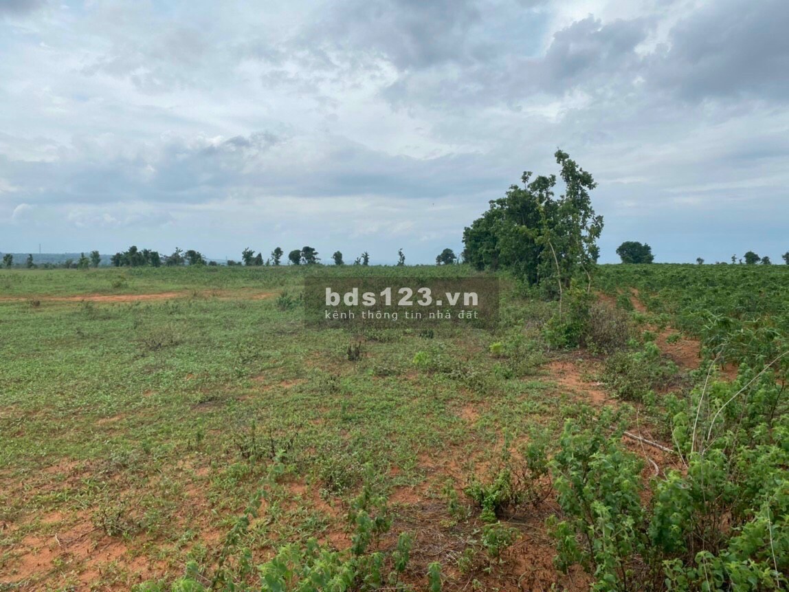 Đất ven Biển Bình Thuận gần NoVa giá 890 triệu liên hệ 0708319127