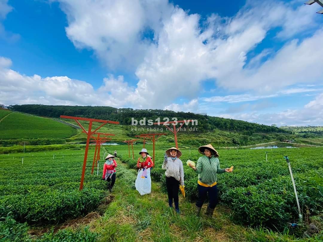 Bán biệt thự Bảo Lộc SHR view HỒ tự nhiên nghỉ dưỡng tuyệt vời chỉ 7.6 triệu/m2