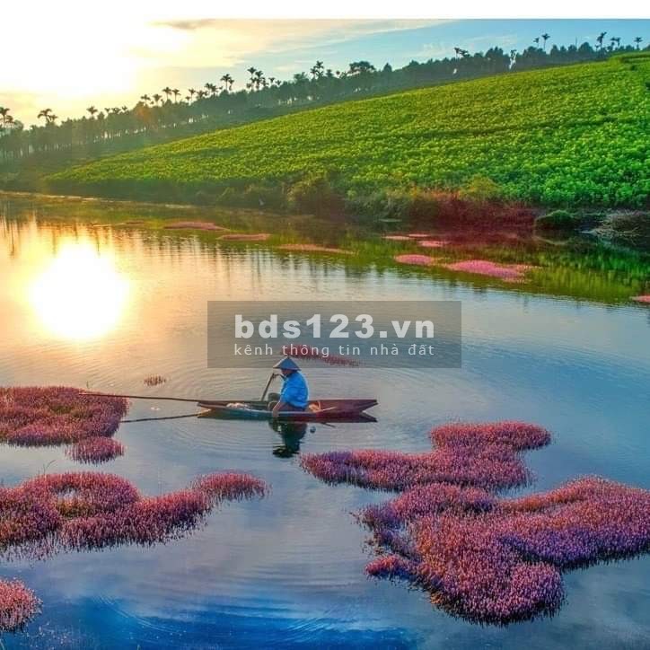 Bán biệt thự Bảo Lộc SHR view HỒ tự nhiên nghỉ dưỡng tuyệt vời chỉ 7.6 triệu/m2
