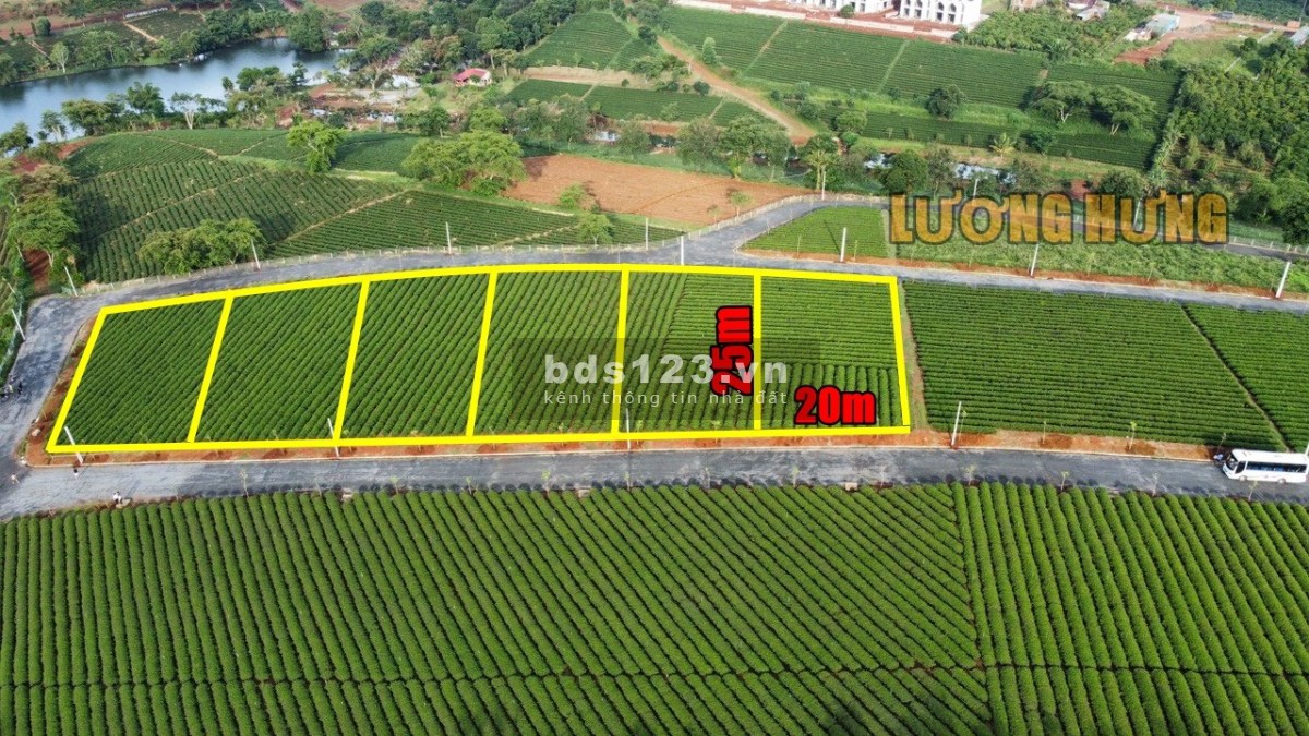 Bán biệt thự Bảo Lộc SHR view HỒ tự nhiên nghỉ dưỡng tuyệt vời chỉ 7.6 triệu/m2