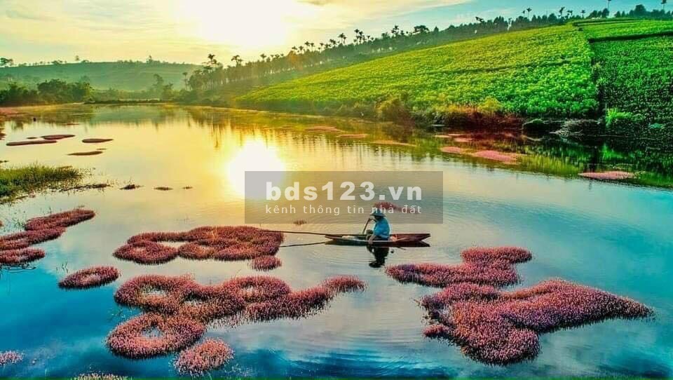 Đất biệt thự nghĩ dưỡng Bảo Lộc dtsd 500m2 sẵn 350M2 thổ cư sổ hồng riêng, giá chỉ 7.8 triệu/m2