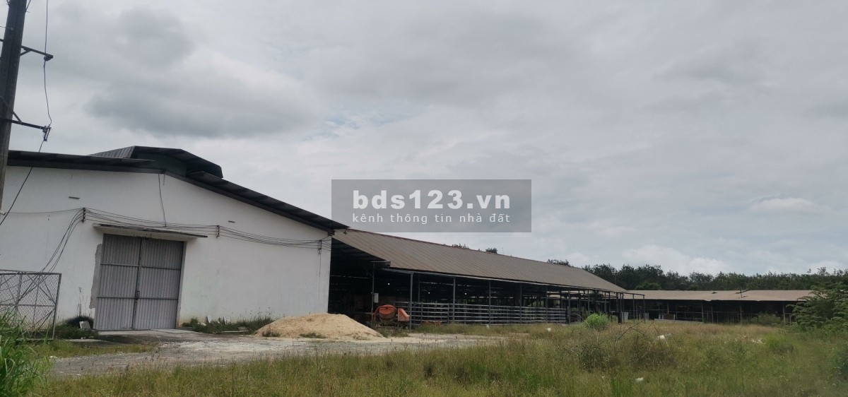 Thuê nhanh nhà kho tại An Nhơn Tây, Củ Chi với diện tích 17000m2