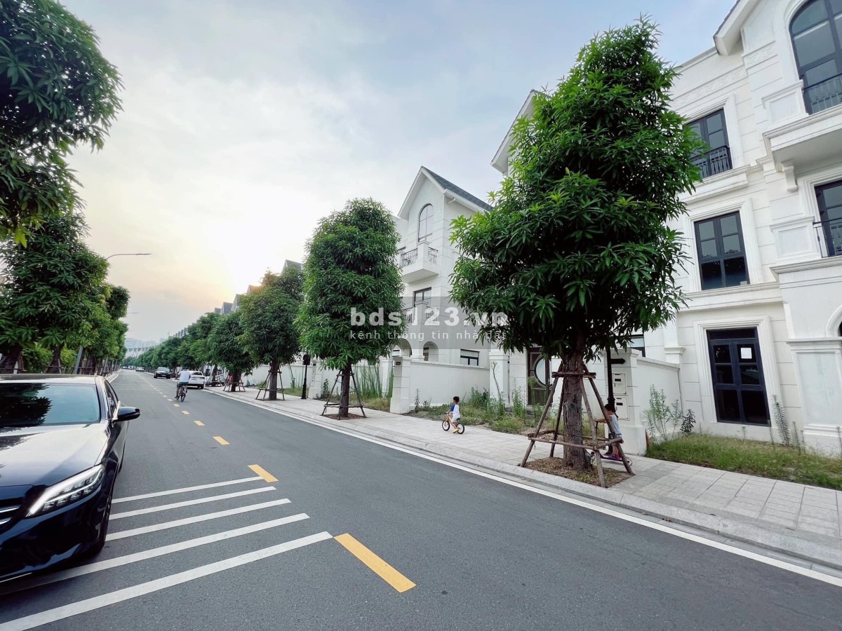 Bán nhanh Shophouse Hải Âu 3 giá cực sốc 23 tỷ, Vinhomes Ocean Park lh 0929.118.998