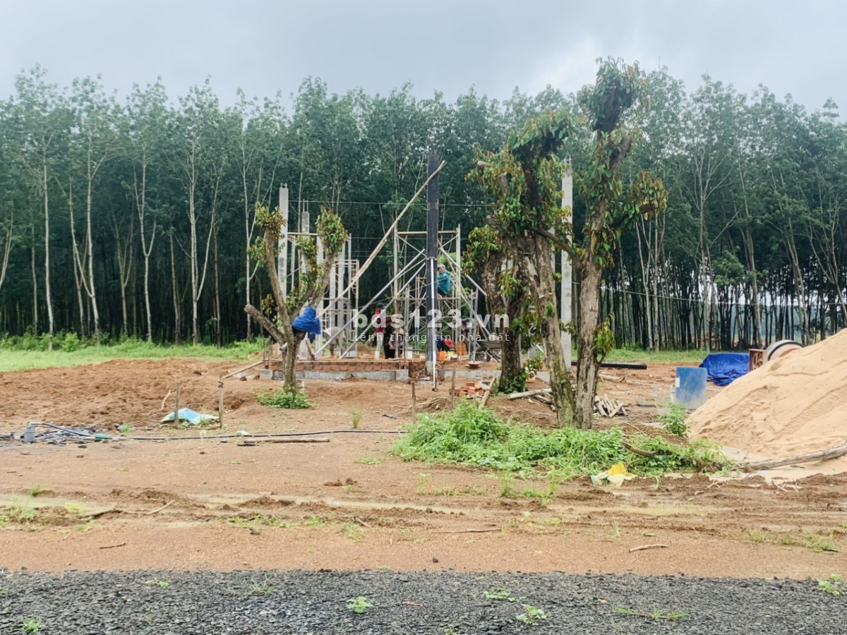 Bán đất Đồng Phú Bình Phước, giá 500 triệu pháp lý chuẩn công chứng nhanh