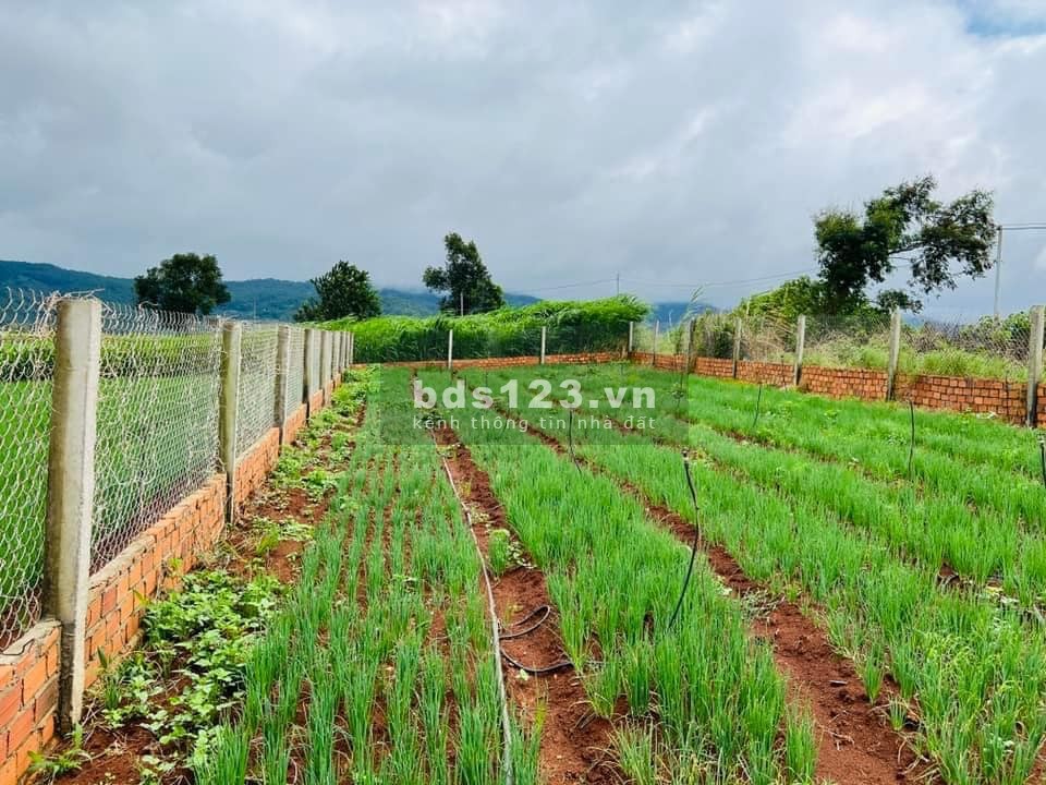 Chính chủ cần bán gấp lô đất 10x27m tại Thạnh Mỹ - Đơn Dương - Lâm Đồng