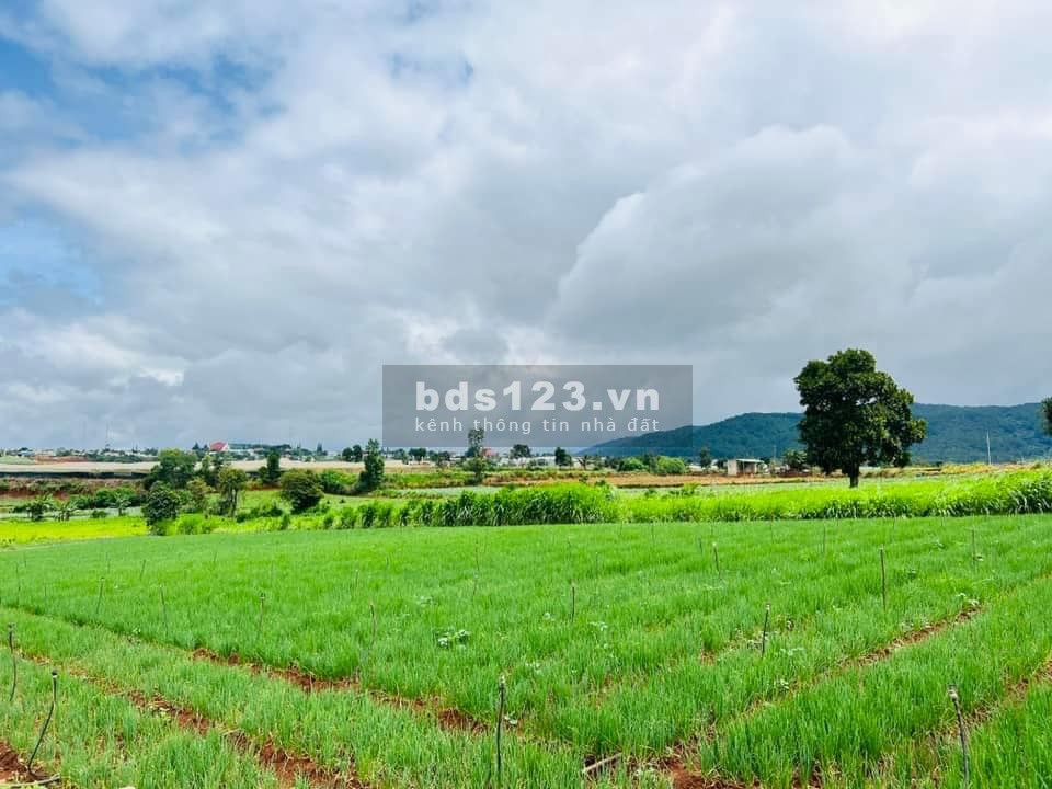 Chính chủ cần bán gấp lô đất 10x27m tại Thạnh Mỹ - Đơn Dương - Lâm Đồng