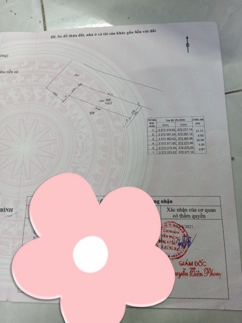 Cần bán siêu phẩm lô góc diện tích 119m2 Độc Lập Hưng Hà Thái Bình giá tốt