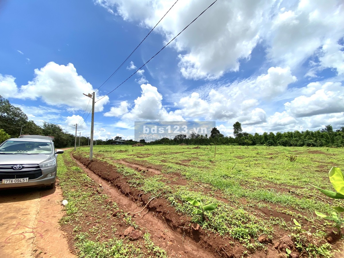 Bán đất chính chủ cần bán gấp diện tích 300m2, thanh toán linh hoạt