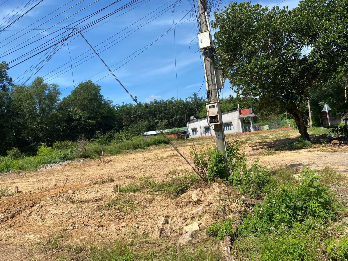 Đất 2 mặt tiền đường nằm trên cổng chính Sân Bay Long thành thích hợp cho việc mua đầu tư sinh lời