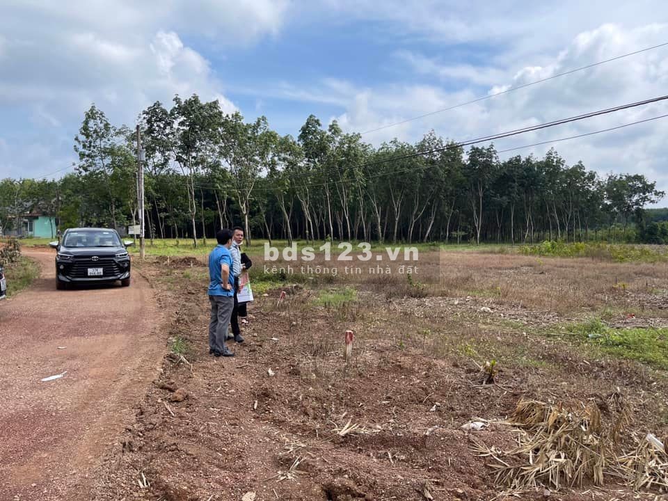 Đất ngay khu công nghiệp, sổ sẵn sát UBND Tân Lợi giá chỉ từ 480 triệu
