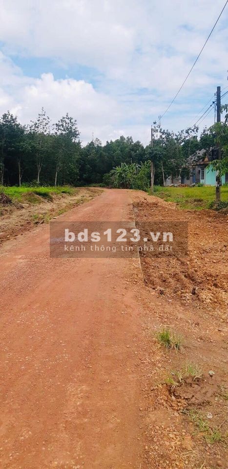 Đất ngay khu công nghiệp, sổ sẵn sát UBND Tân Lợi giá chỉ từ 480 triệu
