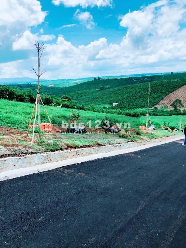 Bán đất dự án Bảo Lộc bao sang tên công chứng ngay, giá đầu tư sinh lời