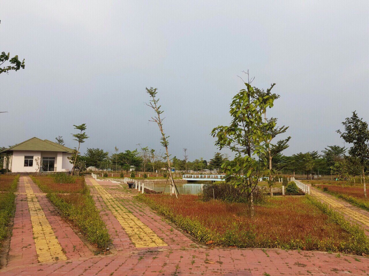 Bán lô đất thung lũng xanh, xã An Phước, Long Thành Đồng Nai, giá 1ty550, dtsd 120m2