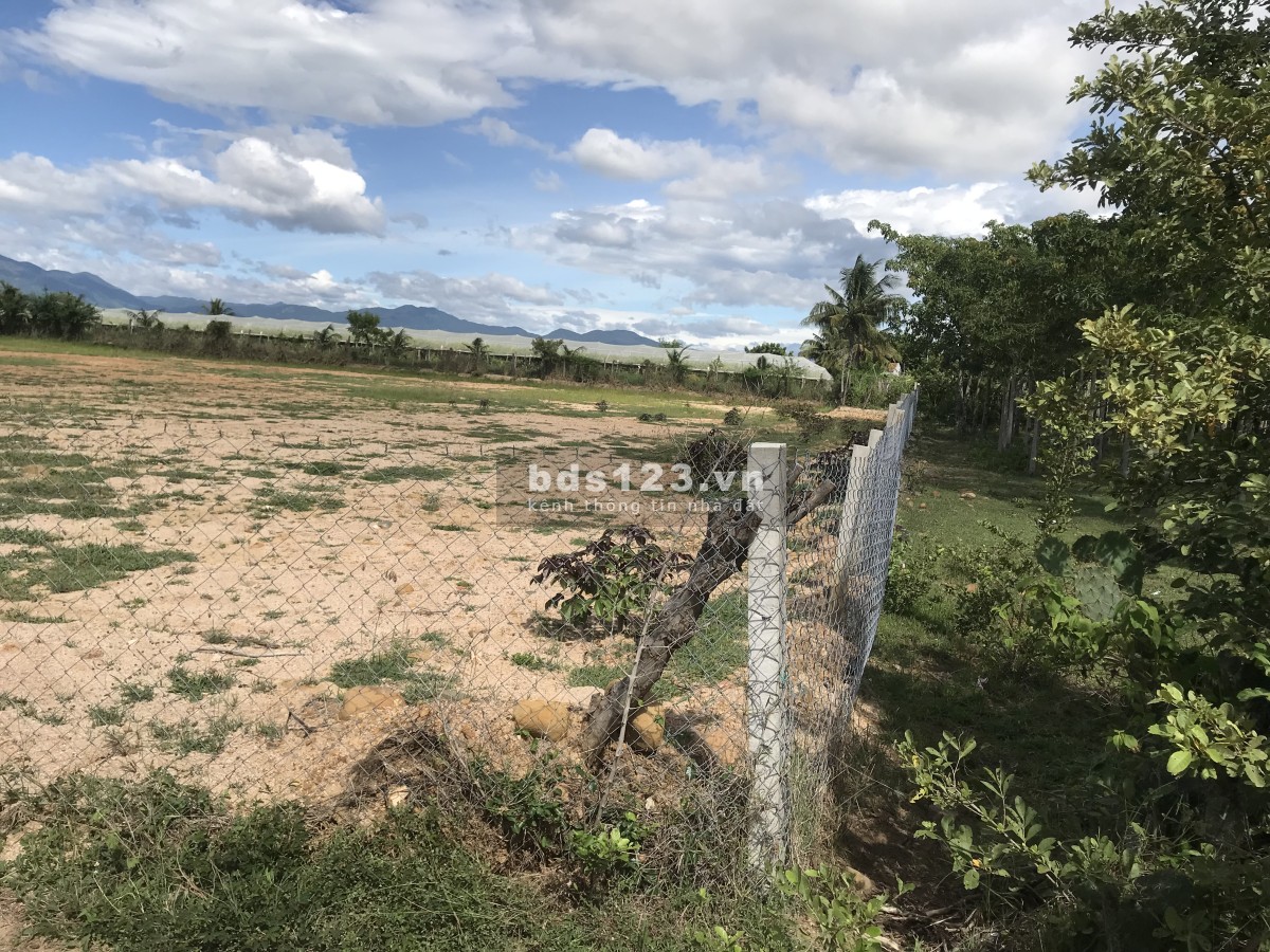 ️️️ Cần bán 3088 m2 đất HNK ( hơn 3 sào ) giá sinh viên 2tỷ4 ( giá thương lượng nhẹ nhẹ )