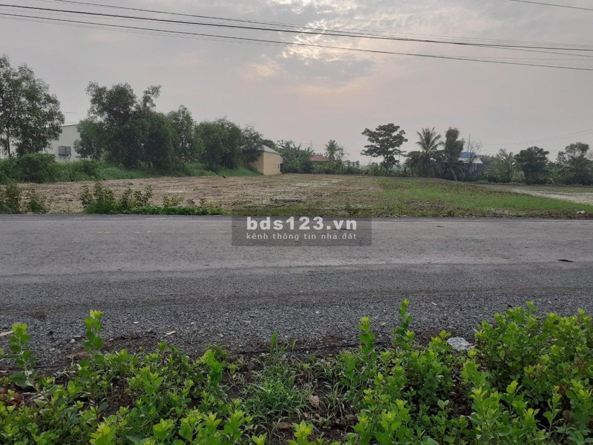 Chính chủ cần bán gấp 2000m2 đất nền tại Thị xã Gò Công Tiền Giang