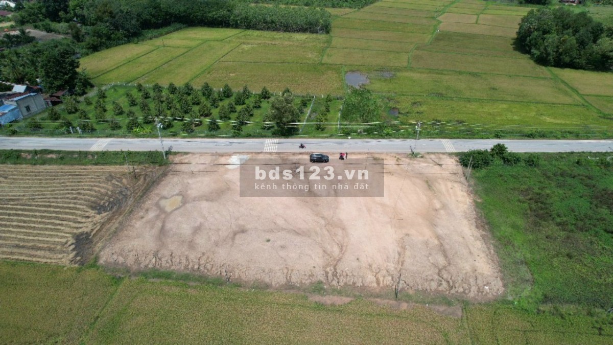 Đất mặt tiền đường ĐT 786, khu kinh tế cửa khẩu Quốc tế Mộc bài Tây Ninh.