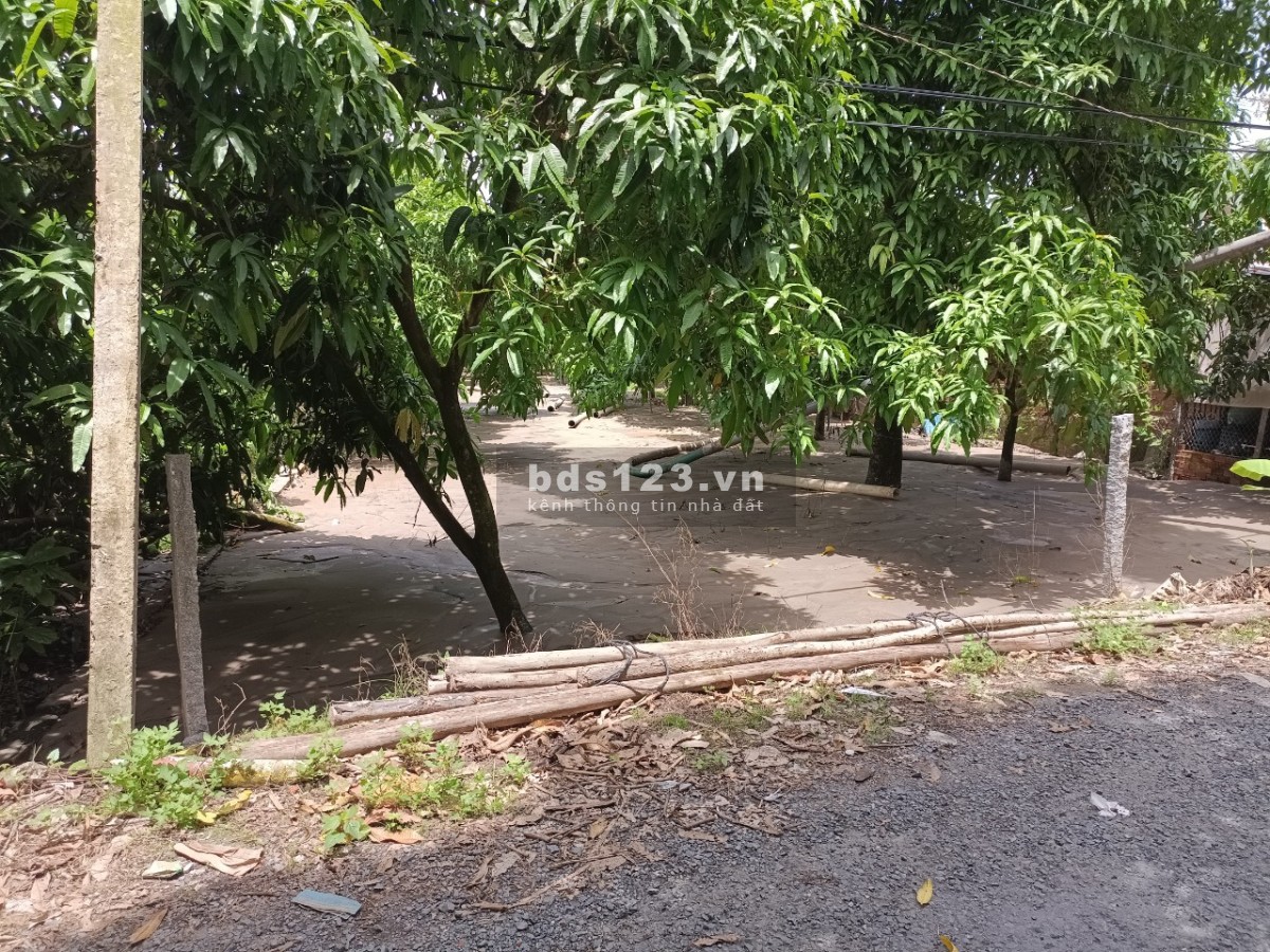 Bán nền rẻ thuộc xã Tân Thuận Đông, thành phố Cao Lãnh giá đầu tư sinh lời