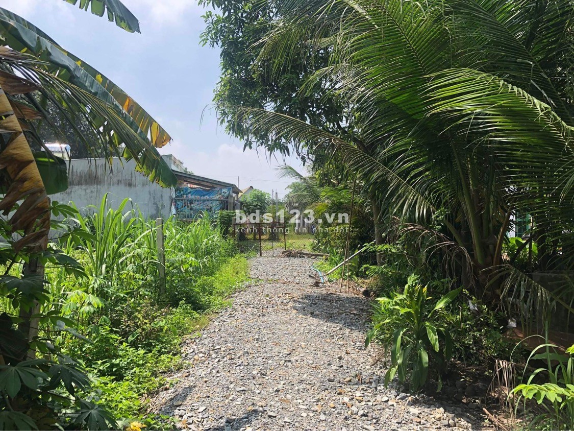 Bán đất thổ cư An Tịnh khu công nghiệp Trảng Bàng giá thấp