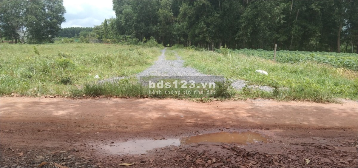 Bán Đất Gần Đường 25C và Vành Đai 3 Full Thổ Thuộc Xã Vĩnh Thanh , Nhơn trạch