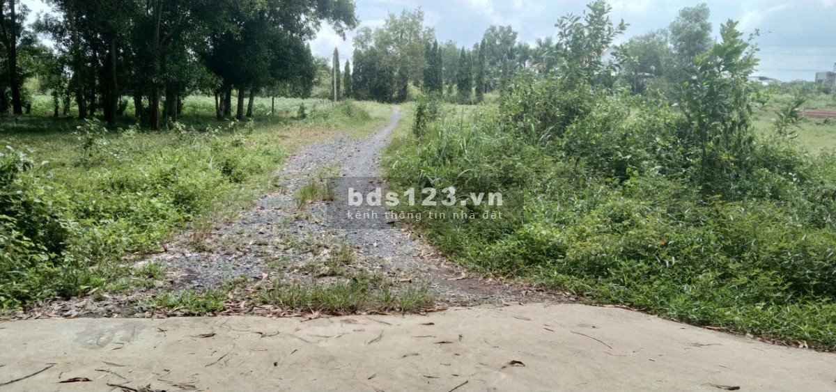 Bán Đất Gần Đường 25C và Vành Đai 3 Full Thổ Thuộc Xã Vĩnh Thanh , Nhơn trạch