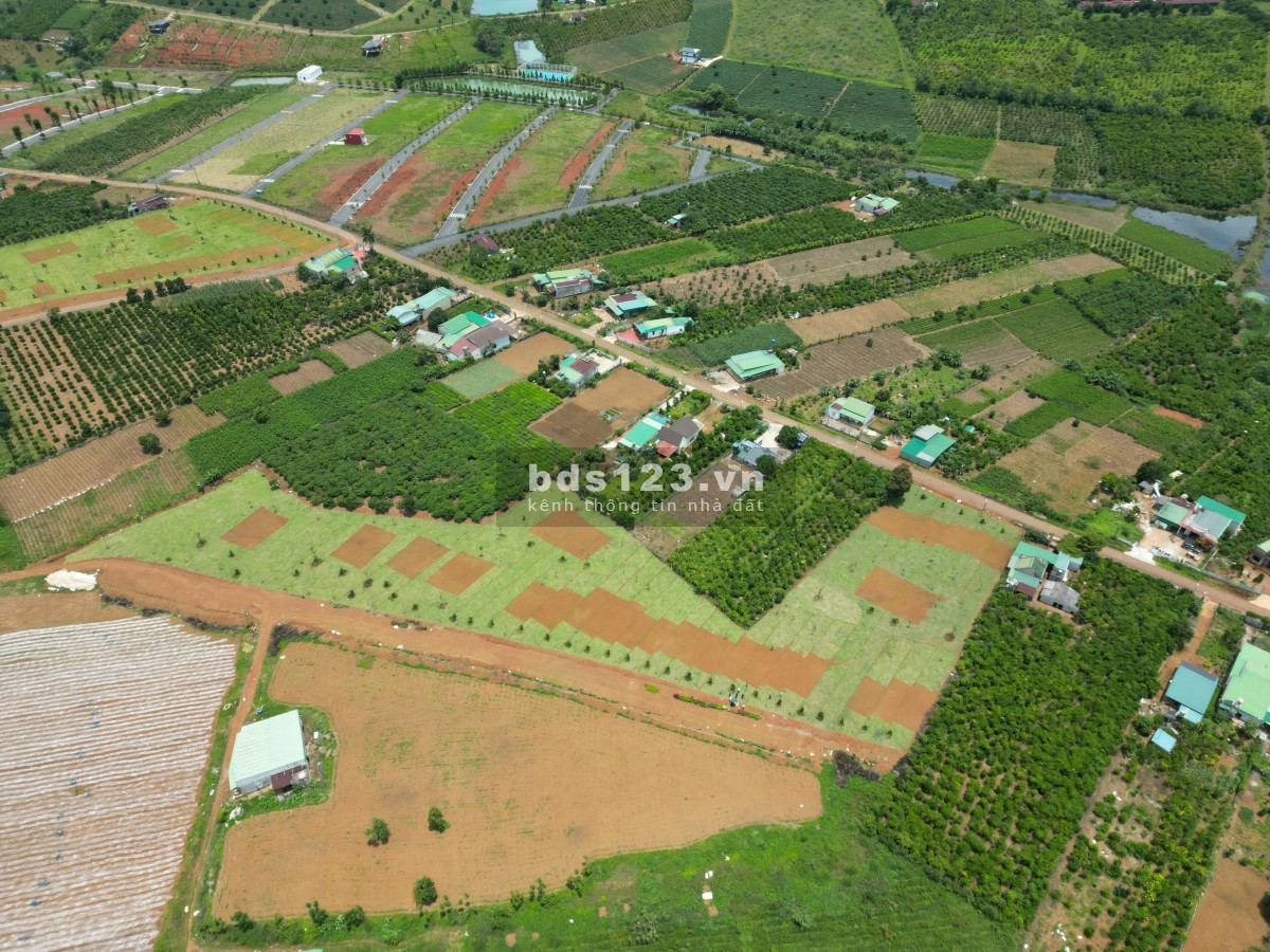 Dự án mới full sổ hồng nay ngã 5 Dam Bri, giá tốt sổ sẵn, đầu tư sinh lời