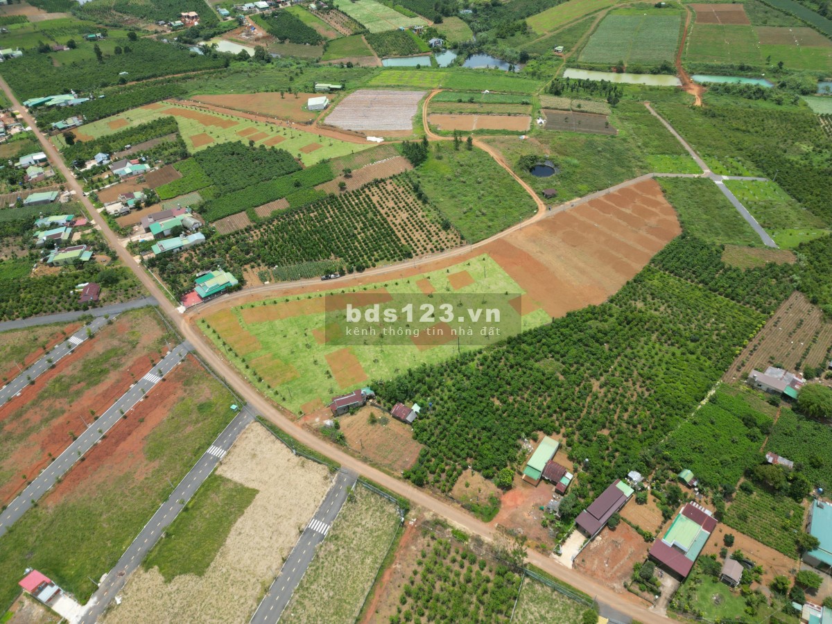 Dự án mới full sổ hồng nay ngã 5 Dam Bri, giá tốt sổ sẵn, đầu tư sinh lời