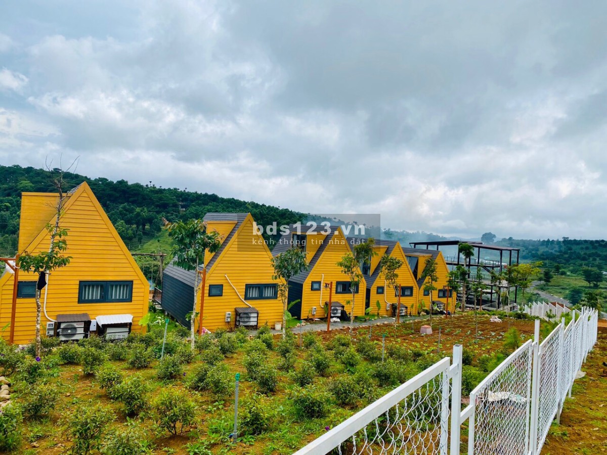 Duy nhất 3 nền nghỉ dưỡng view hồ Dak Long Thượng, Bảo Lộc giá chỉ 2 triệu/m²