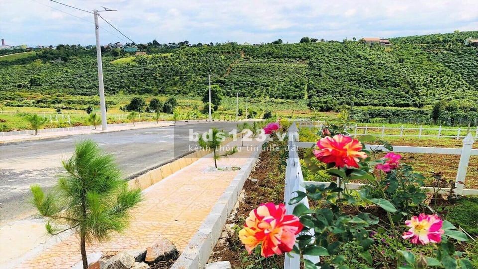 Bán đất full thổ cư đường số 17 Lộc Quảng, Bảo Lâm, liên hệ 0909370517