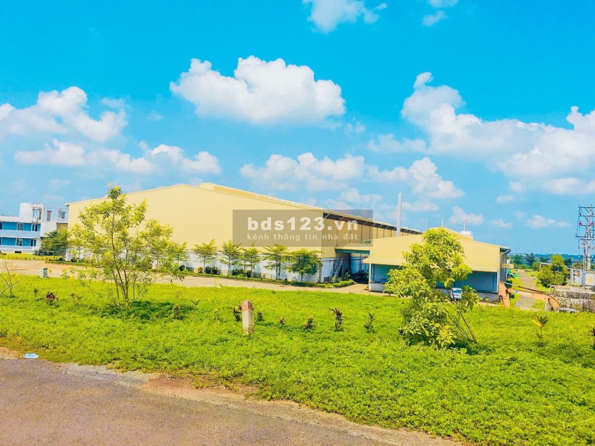 Mở bán sào đất phủ hồng mặt tiền đường nhựa 32m giá cực kì tốt, chỉ 3,2 tỉ/sào