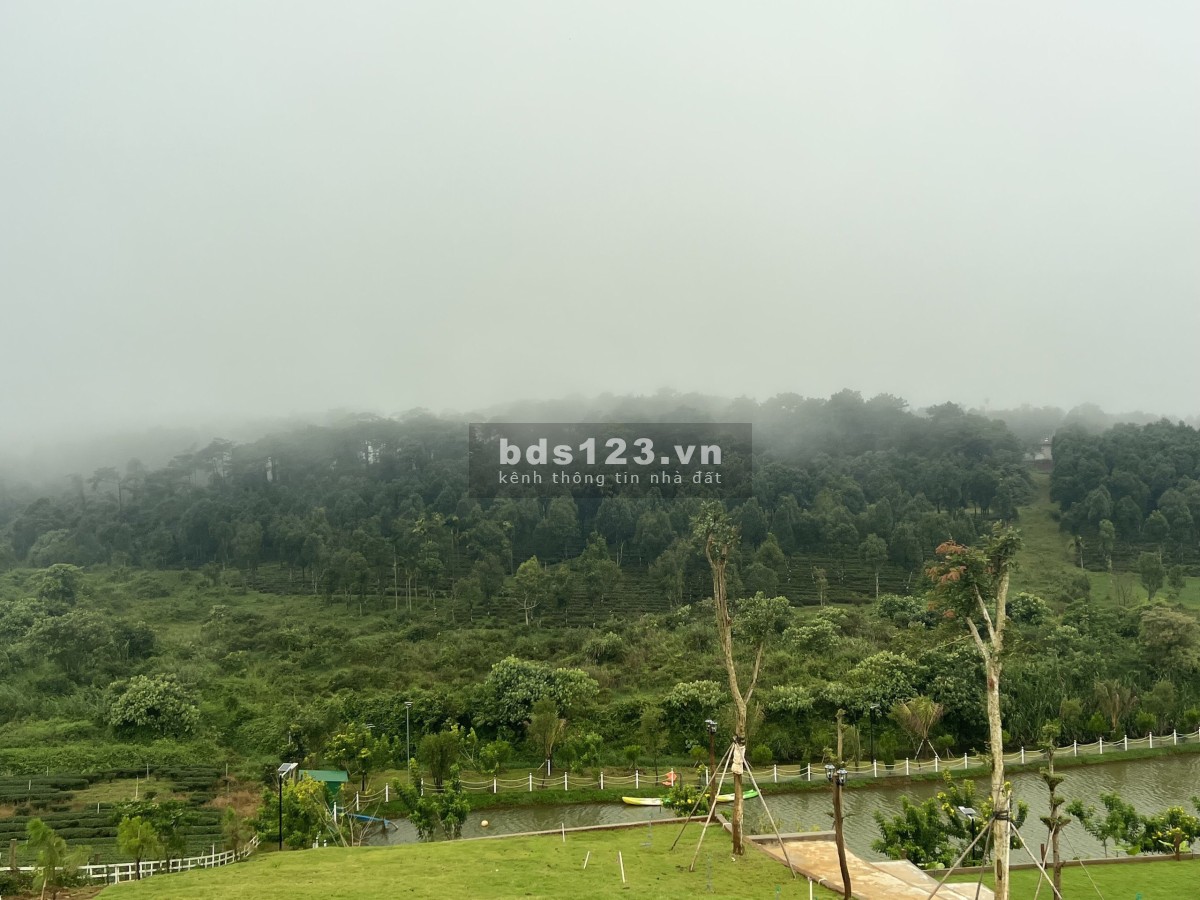 Duy nhất 3 nền nghỉ dưỡng view hồ Dak Long Thượng, Bảo Lộc giá chỉ 2 triệu/m²