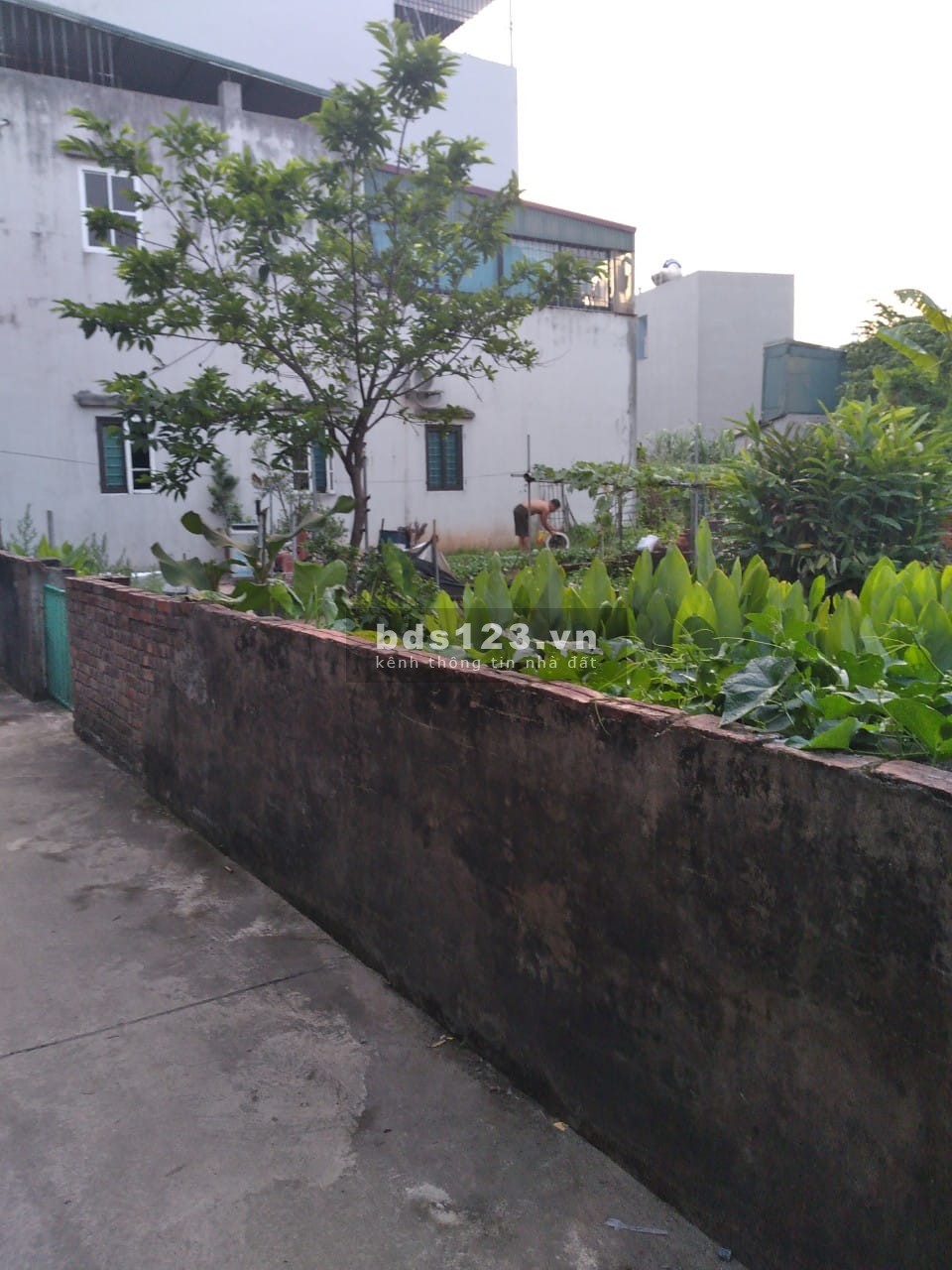 Giá rẻ bất ngờ - Đất Phúc Lợi diện tích 70m2 MT 5.5m giá bán 2,7 tỷ