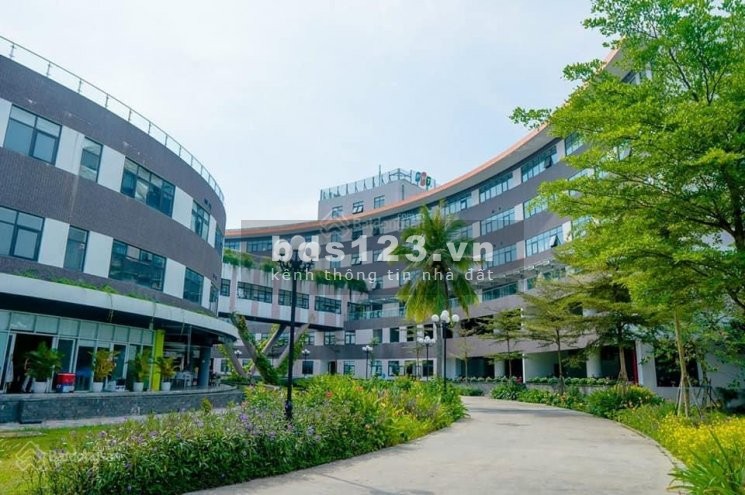 Cơ hội đầu tư căn hộ FPT Plaza Đà Nẵng 2PN 74m2 giá chỉ 1ty8 chiết khấu 1% Ngân hàng cho vay 70%