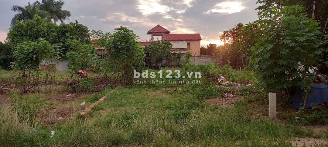 Tôi cần bán lô đất cách Quốc Lộ 22 300m khu dân cư hiện hữu
