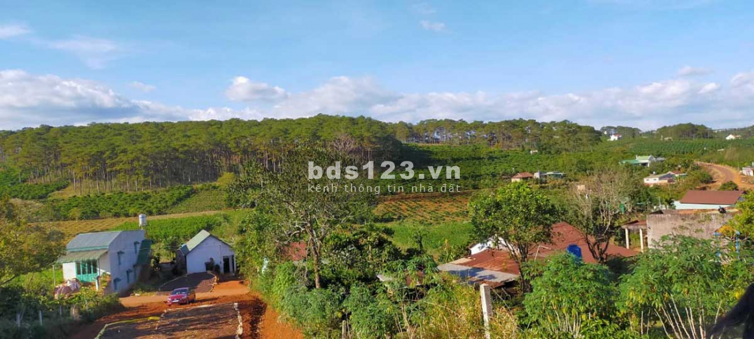 Bán đất thổ cư xã Lộc An, Lâm Đồng có sổ đỏ, đất đồi cao, 4 mặt tiền, DT 200m², nhỉnh giá 2 tỷ TL