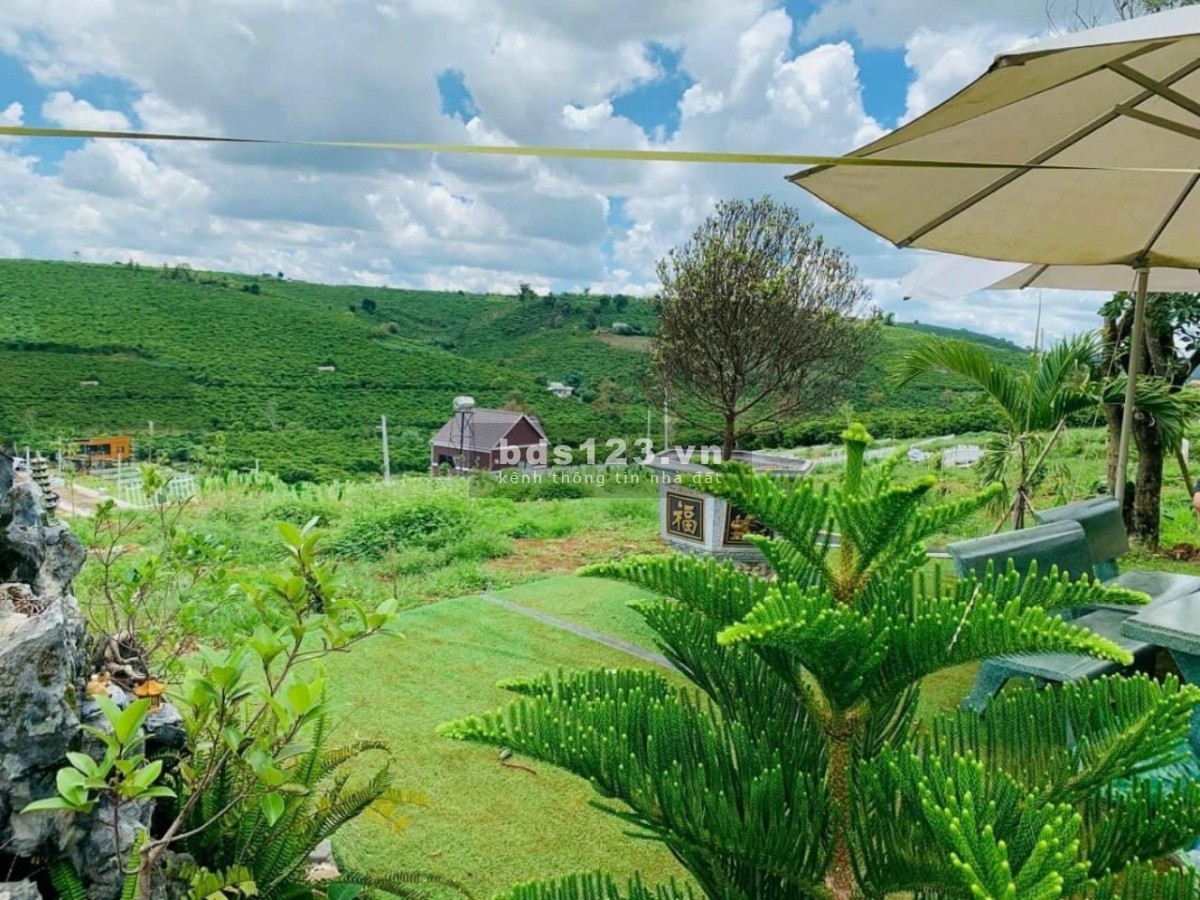 Bán đất thổ cư xã Lộc An, Lâm Đồng có sổ đỏ, đất đồi cao, 4 mặt tiền, DT 200m², nhỉnh giá 2 tỷ TL