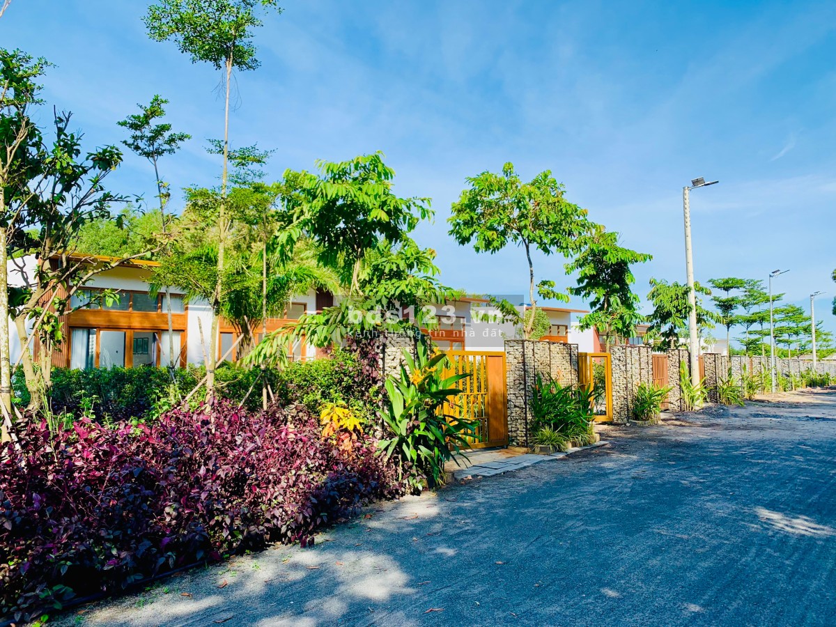 Cơ hội "vàng" sở hữu hơn 1000m2 đất nền gần dự án sân bay Hồ Tràm giá siêu mềm
