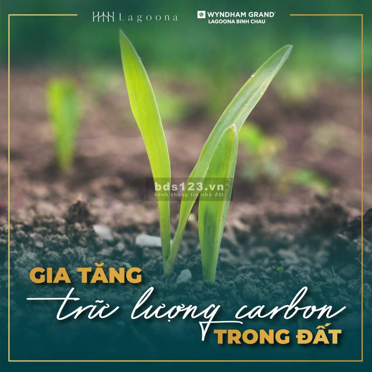 Lagoona Bình Châu ngôi nhà nghĩ dưỡng di sản tuyền đời, nơi đầu tư sinh lời lãi suất kép