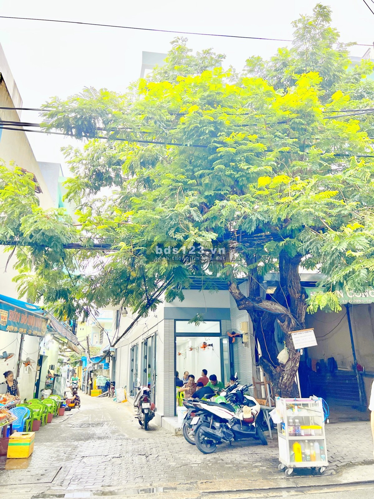 Căn góc mặt tiền kinh doanh đường số chợ Tân Mỹ, Quận 7 SHR