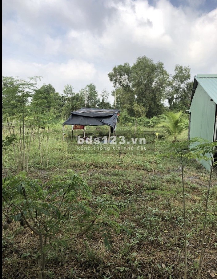 Bán đất trồng cây lâu năm đường Nguyễn Văn Long Bình Chánh DT 1.000m²